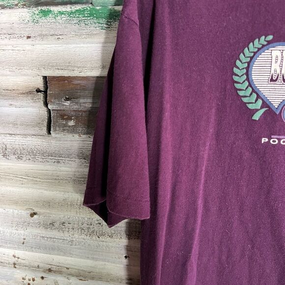 Vintage Bushkill Falls Shirt - Picture 4 of 7